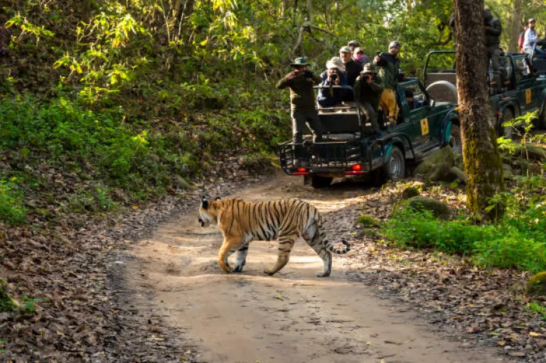 Jim Corbett National Park