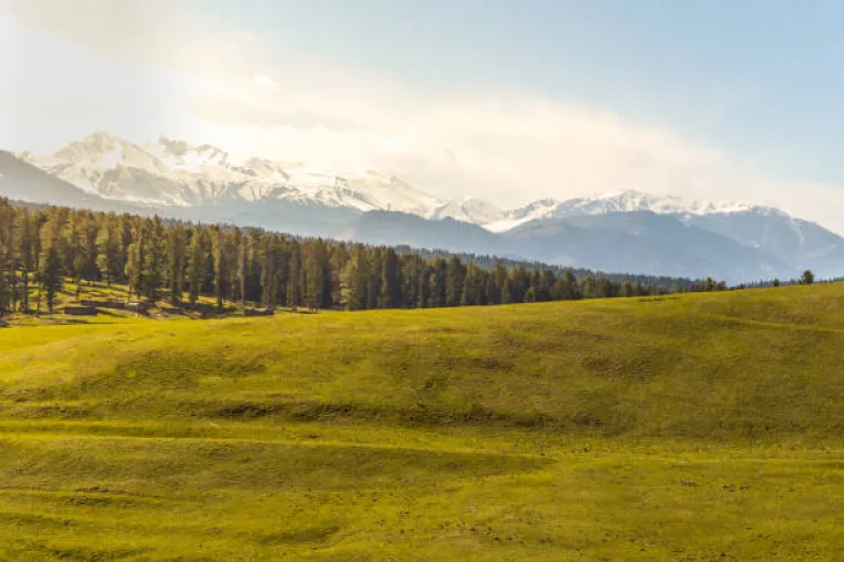 Yusmarg