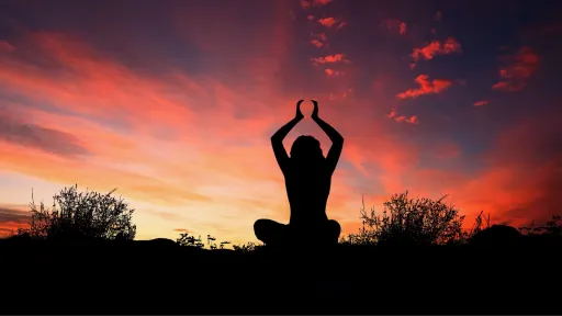 image for article Yoga Day 2025: Yoga Poses for a Healthy Traveler!