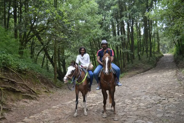 @@Tripadvisor 