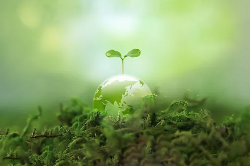 image for article How to be a Responsible Traveler This World Environment Day 2025