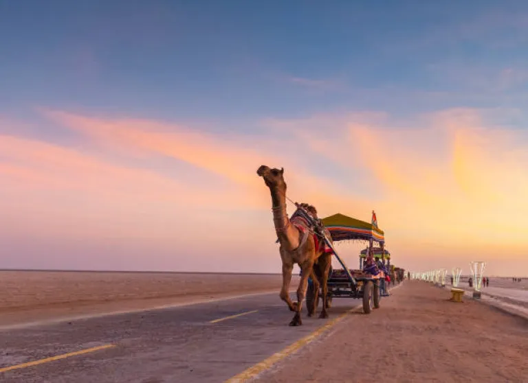 Kutch, Gujarat