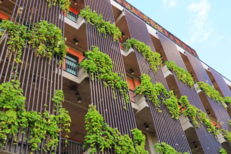 Sustainable Accommodation 