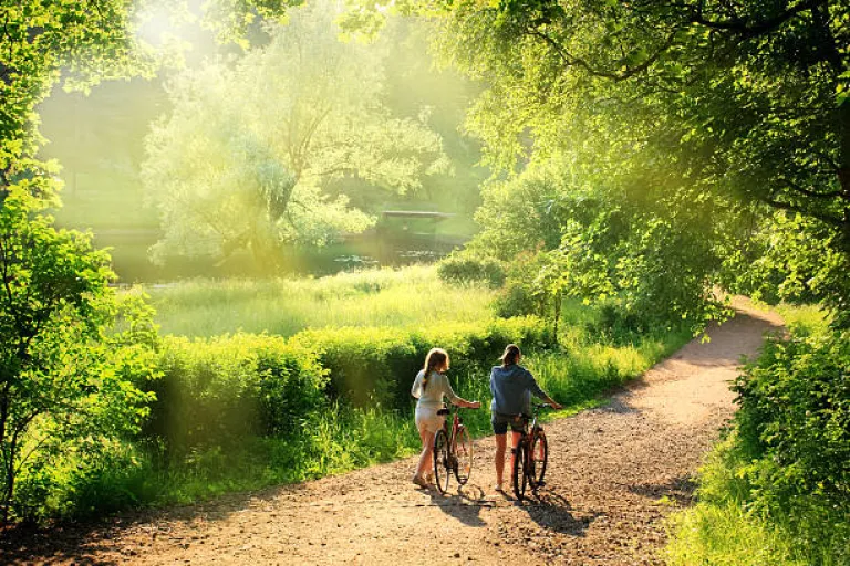 Sustainable travel, healthy for you and for the environment 