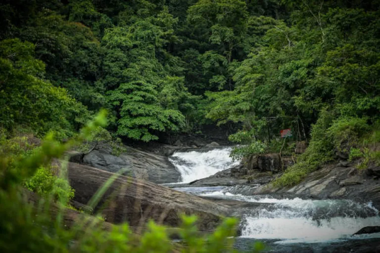 Soochipara Falls, Kerala