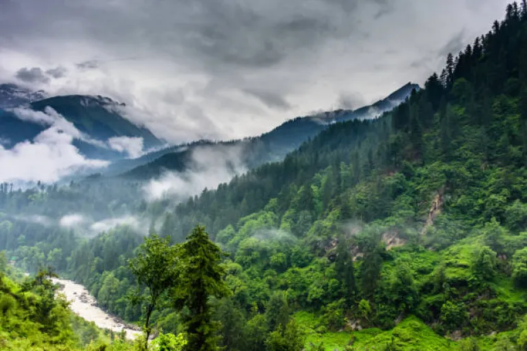 Pick the Perfect Spot for Rainy Season Bliss