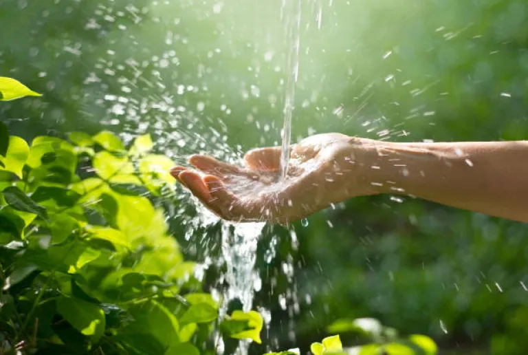 Health First: Hydrate, Protect, and Nourish