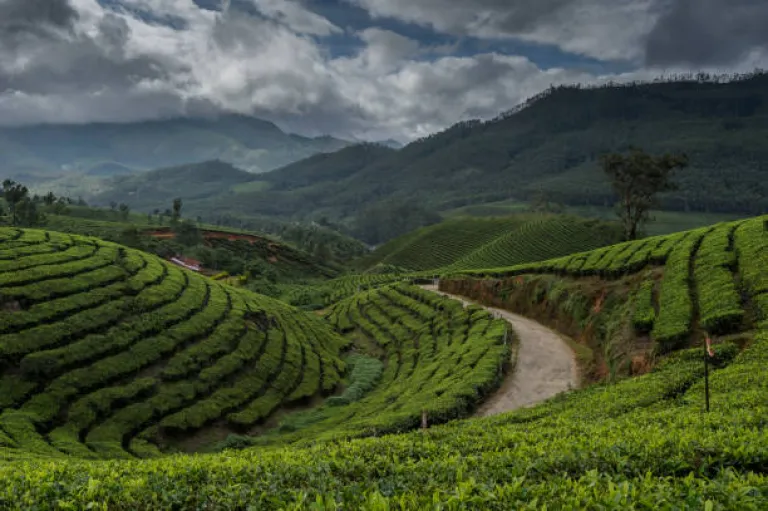 Valparai, Tamil Nadu