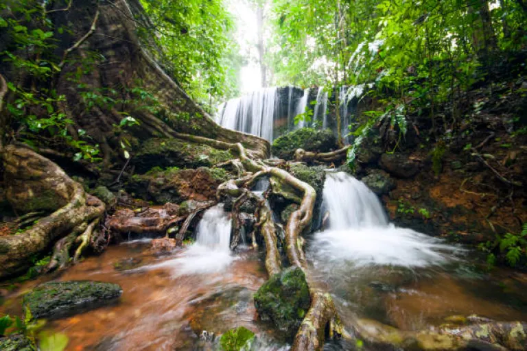 Agumbe, Karnataka