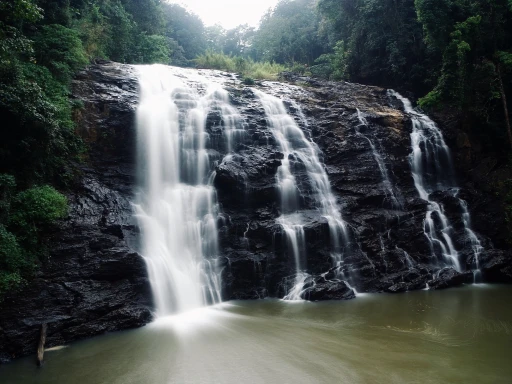 image for article Coorg - The Ultimate Travel Guide 2023