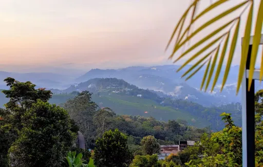 image for article 11 Best Airbnbs in Munnar, Kerala with Nature Views