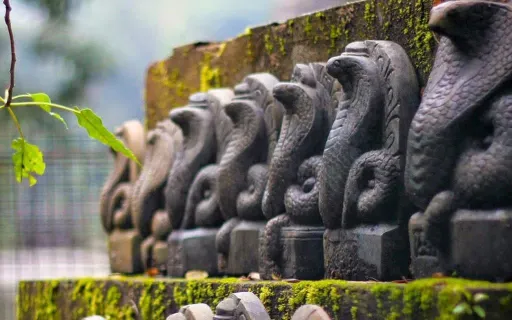 image for article Shetphal, Maharashtra: The Snake Village of India