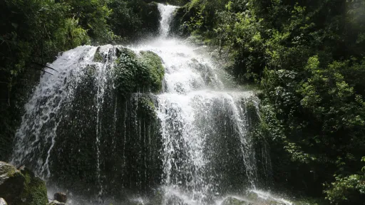 image for article 10 Safe Monsoon Getaways Near Bengaluru