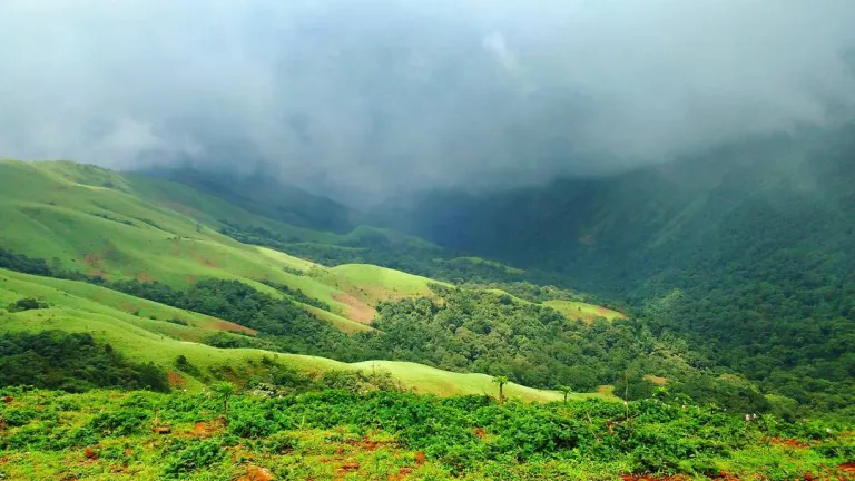 @@Chikmagalur Stays