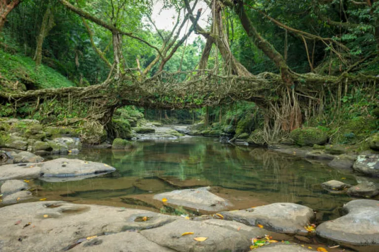 Meghalaya