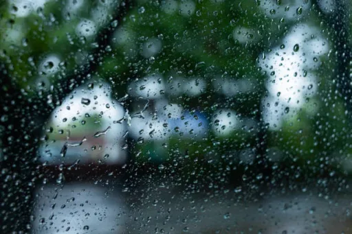 image for article 7 Romantic Monsoon Escapes for Couples in India