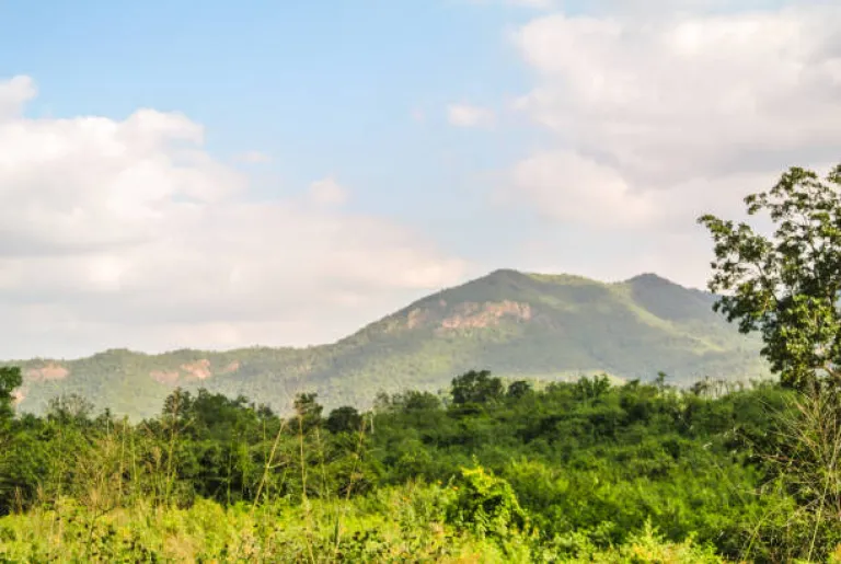 Ananthagiri Hills