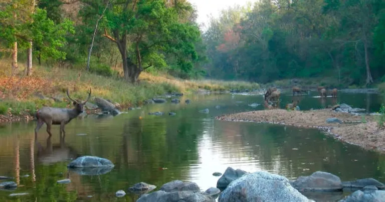 Netravali Wildlife Sanctuary