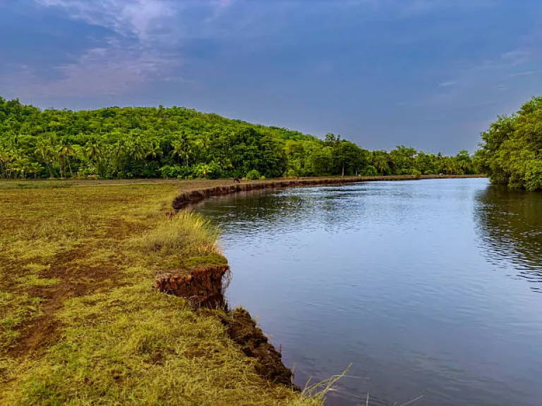 Divar Island