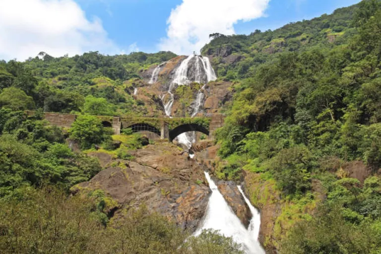 Bhagwan Mahavir Wildlife Sanctuary