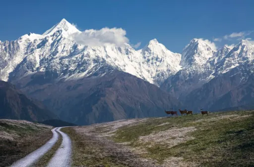 image for article Top 10 Hill Stations Near Delhi to Visit This Independence Day Weekend