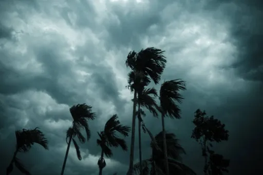 image for article 10 Places to avoid Traveling during Monsoon in India
