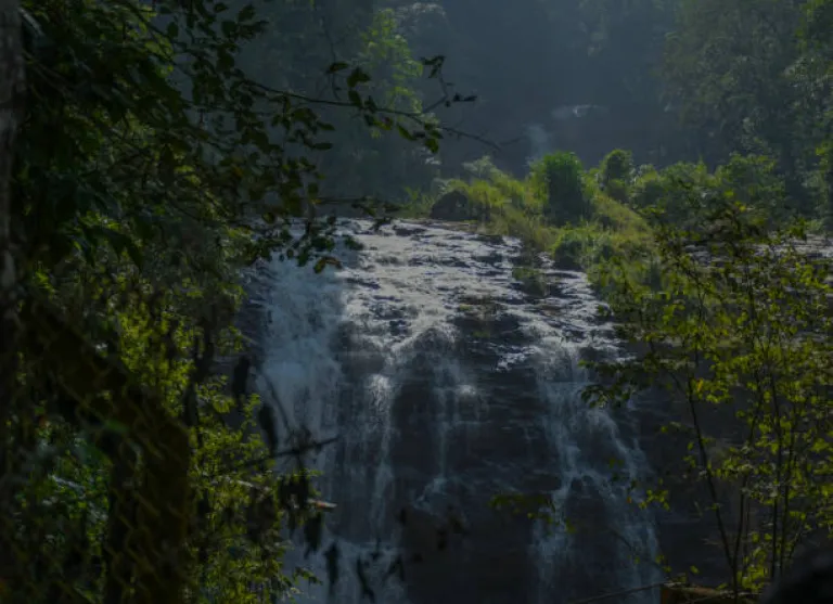 Coorg