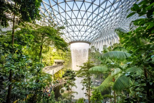 image for article How to Travel from Changi Airport to Your Hotel