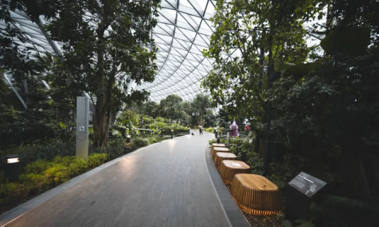Changi Airport
