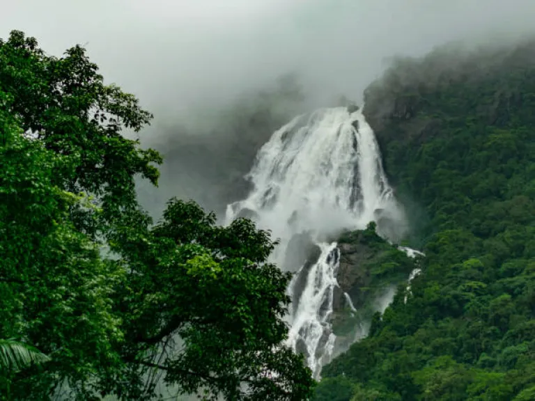Dudhsagar Falls
