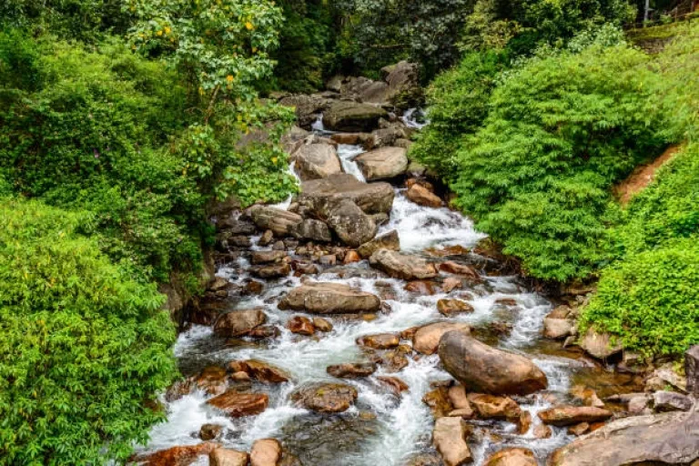 Soochipara Falls, Wayanad