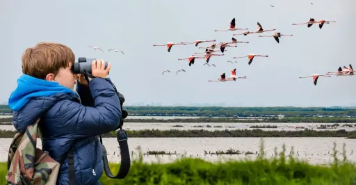 image for article India's Top Birdwatching Destinations During Autumn Migration