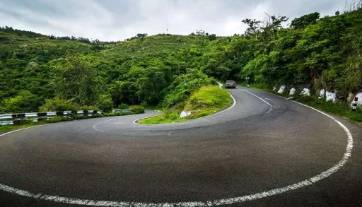 image for article Bangalore to Ooty: A Scenic Road Trip Guide