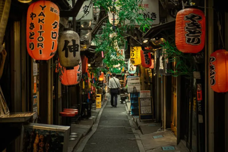 Travel to Japan 