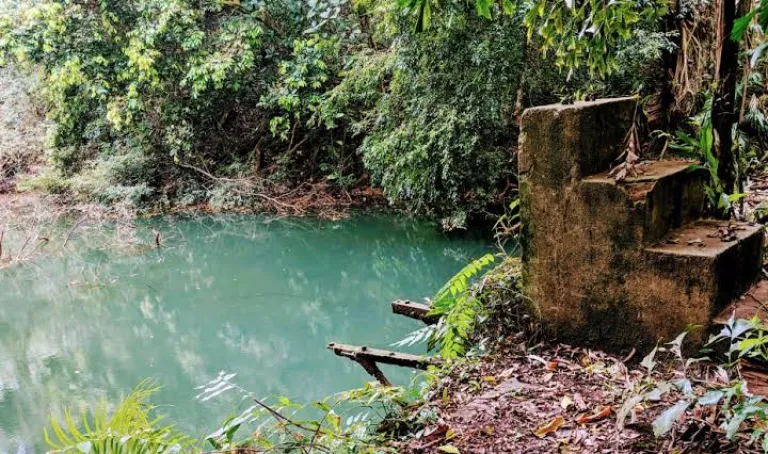 Keppel Hill Reservoir