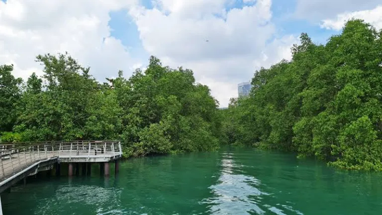 Labrador Nature Reserve&rsquo;s Forest Trail