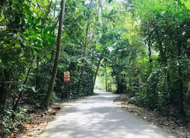 Pulau Ubin&rsquo;s Hidden Trails