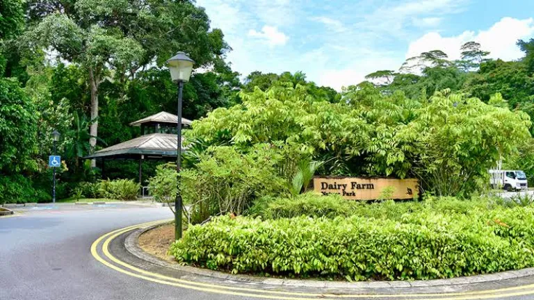 Dairy Farm Nature Park