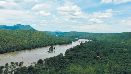 image for article 10 Most Beautiful Valleys to Visit in South India