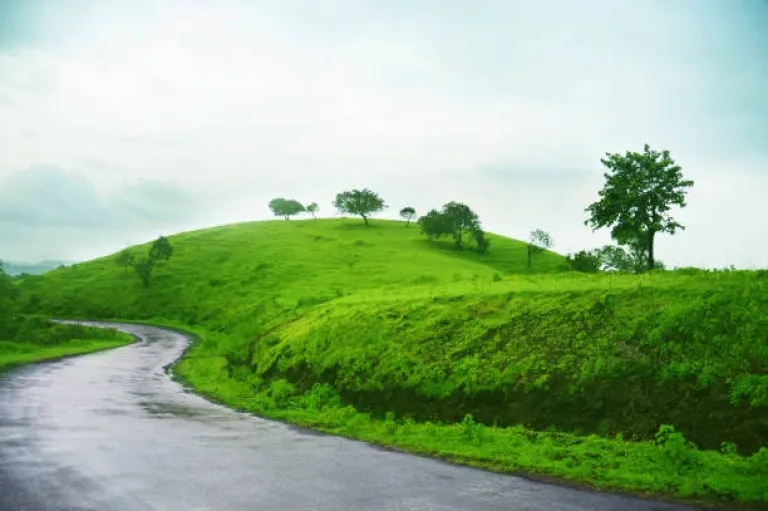 The Monsoon Has Left Its Mark: In the Best Way Possible