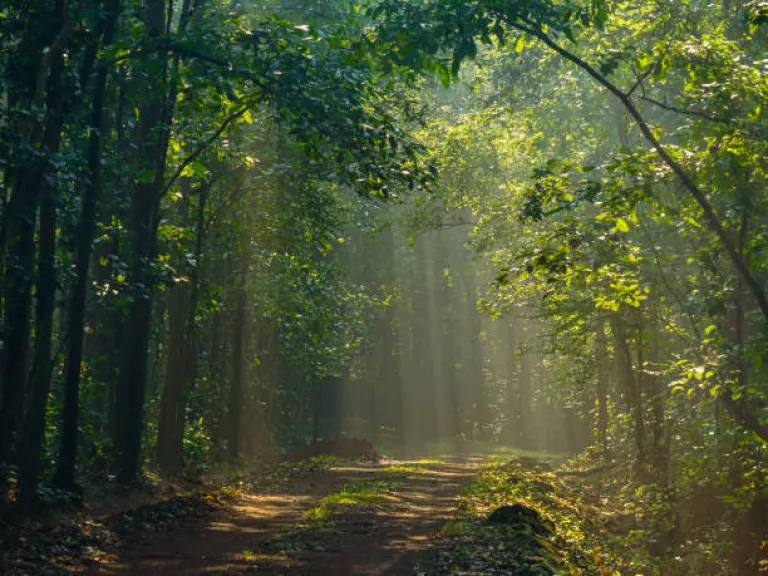 It&#039;s Green All Around and Weather That Doesn&rsquo;t Mess With Your Itinerary
