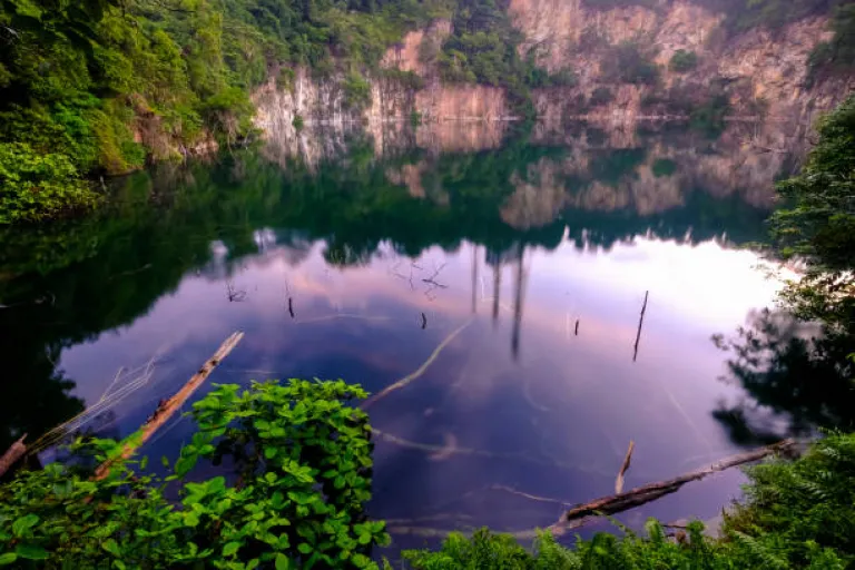 Morning Reflections, Hindhede Nature Park