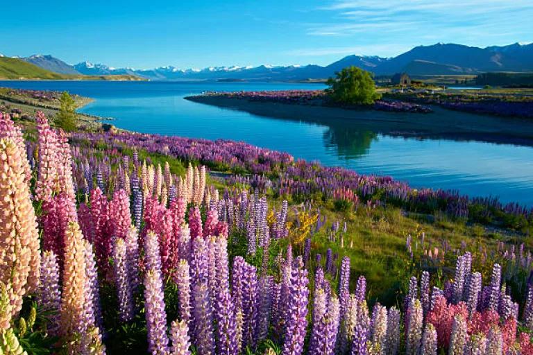 New Zealand
