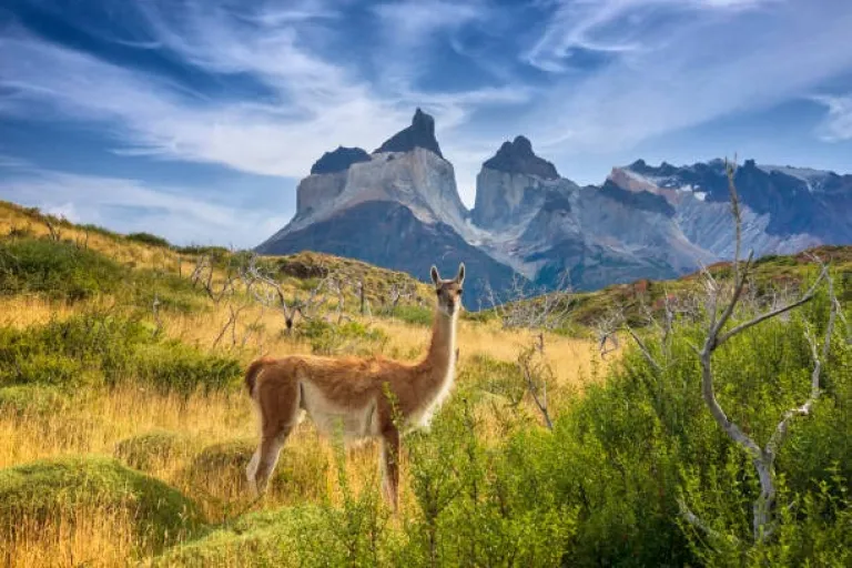 Chile