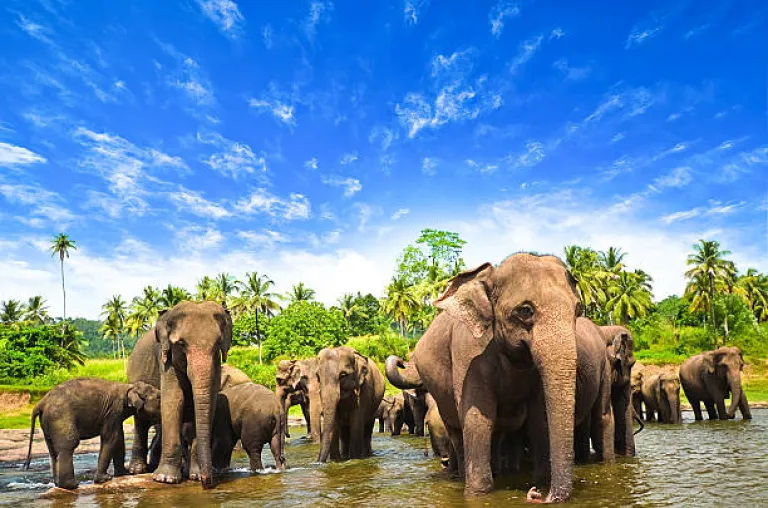 Sri Lanka