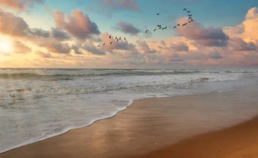 image for article 10 Best Indian Beaches to Visit Post Monsoon