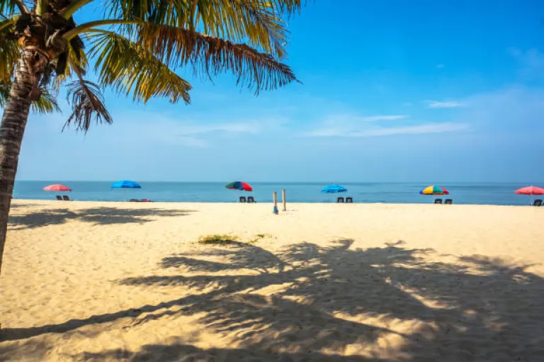 Marari Beach, Kerala