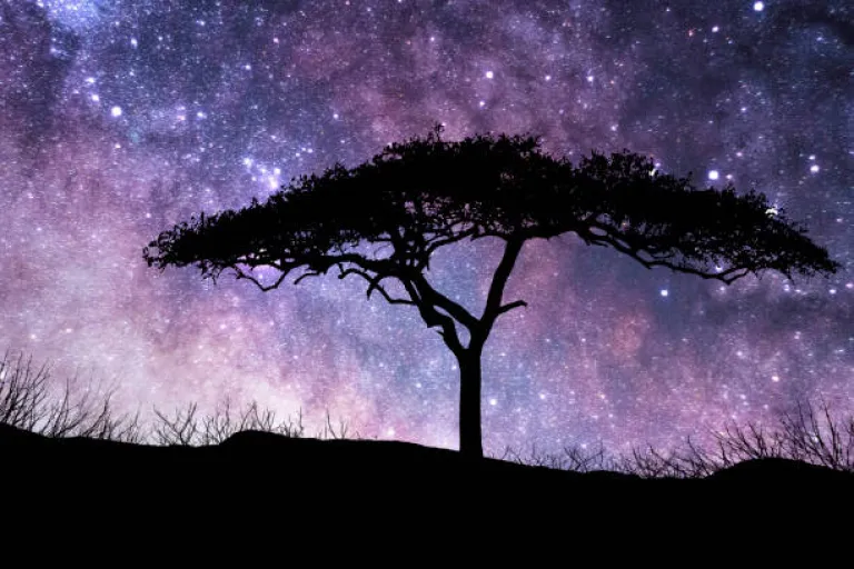 Star Gazing in Kenya