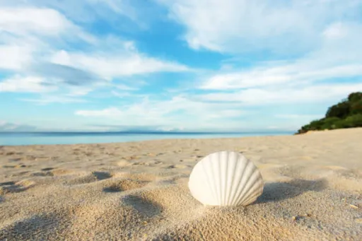 image for article 10 Tips for the perfect Beach Vacation