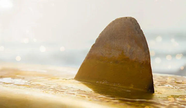 Keep Sand From Taking Over